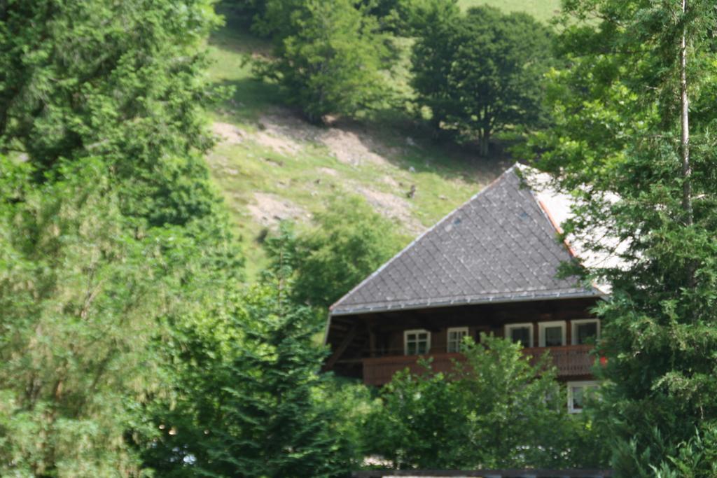 Hotel Gasthaus Hirschen Im Hochschwarzwald Todtnau Nahe Feldberg Exterior photo